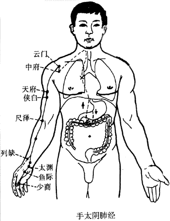 少商