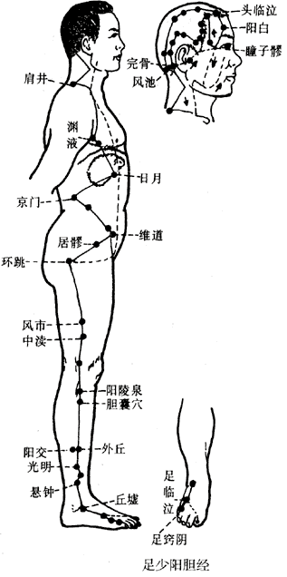 风池