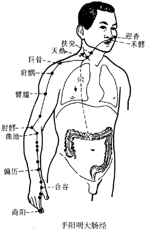商阳