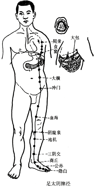 隐白