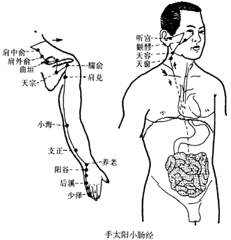 少泽