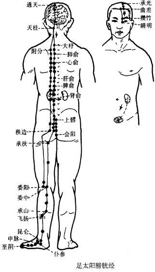 睛明